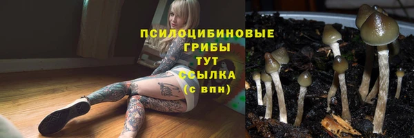 ECSTASY Алзамай