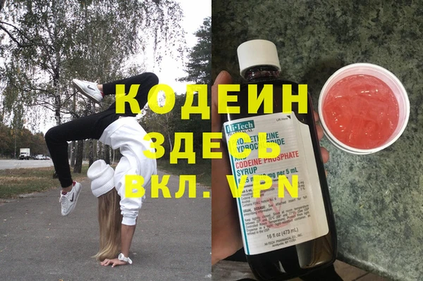 ECSTASY Алзамай