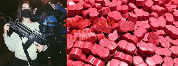 ECSTASY Алзамай