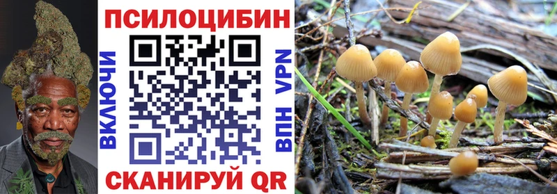 площадка Telegram  продажа наркотиков  Слюдянка  Псилоцибиновые грибы GOLDEN TEACHER 