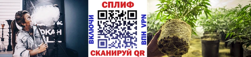 продажа наркотиков  Слюдянка  Марихуана семена 